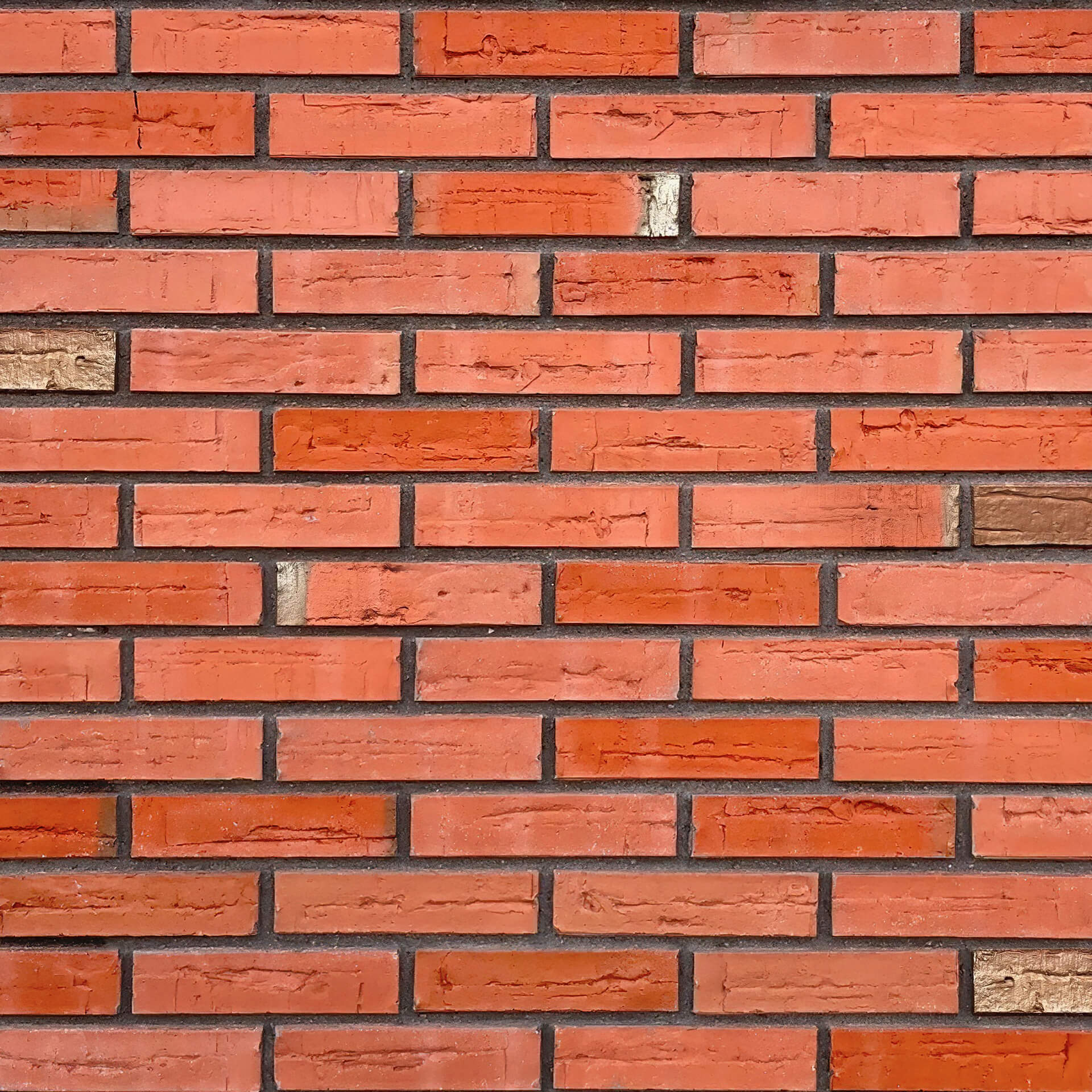 VTS Oranje Flash VTS Oranje Flash